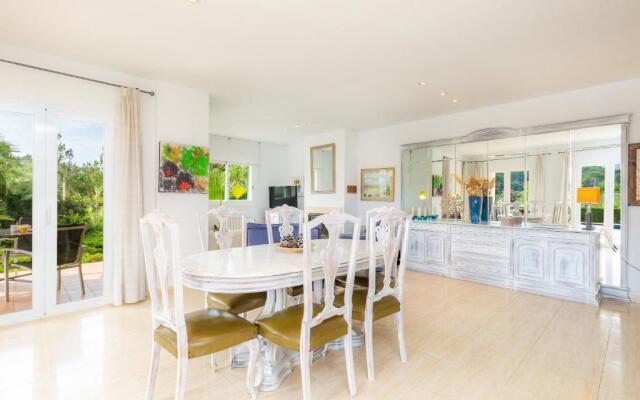 La Vinya del Beato 1950