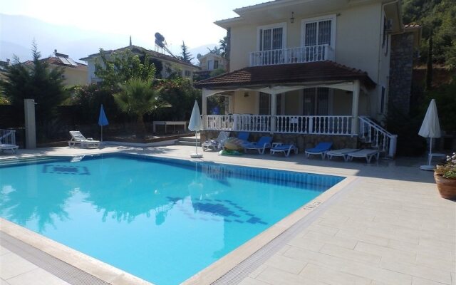 Orman Villa