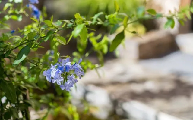 Yuzhichen Light Luxury Holiday Homestay (Beijing Huairou Baihewan Scenic Area)