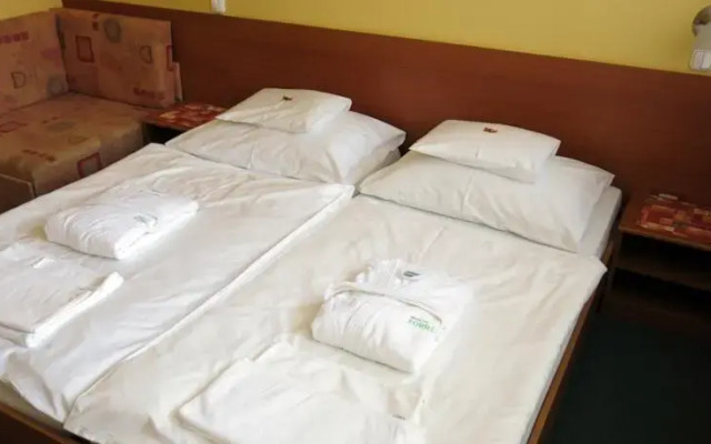 Hotel Forrás