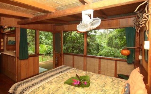 Casa Rio Blanco Eco Friendly B&B