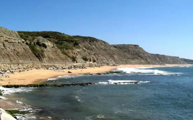 Coral Vacation Rentals (AL)