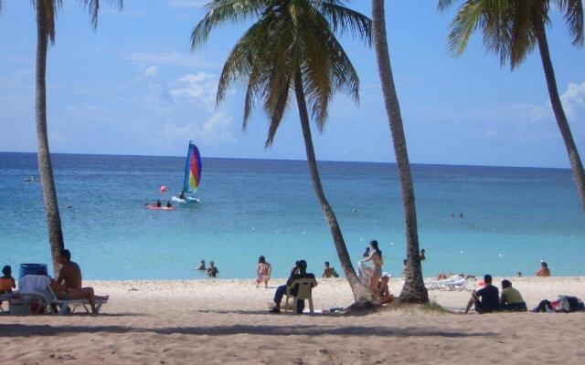 Caraibidamari