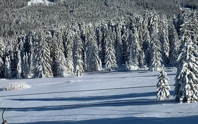 REIT IM WINKL - ValleyViewInn