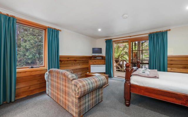 Cradle Forest Inn