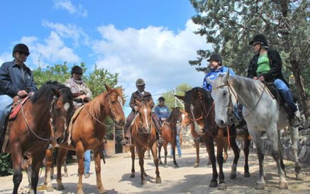 Vered Hagalil Holiday Village