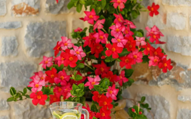 Salvia Areopolis All-Suite Hotel