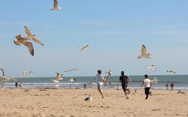 Appartement Saint-Jean-de-Monts, 2 pièces, 4 personnes - FR-1-323-145