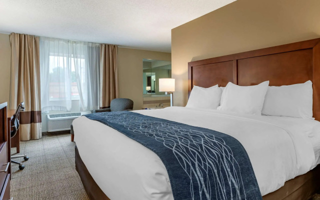 Comfort Inn & Suites Diamondale – Lansing