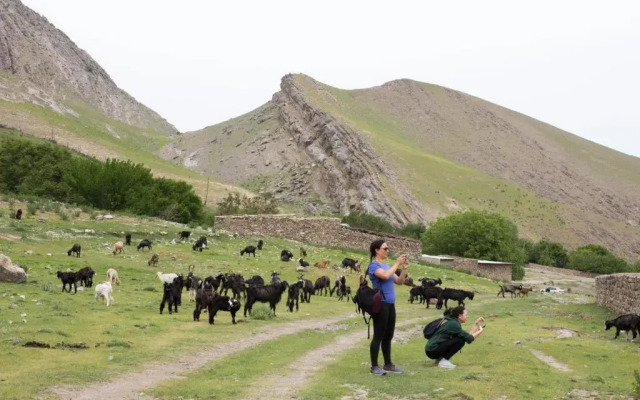 Komil`s homestay in Sentyab village