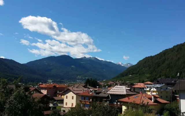 Apartment Violalpina