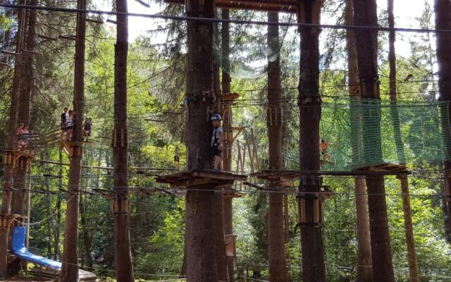 Montriond & Morzine, 4 bedroom ground floor apartment