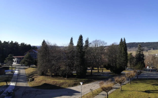 Apartment Lipno Šumava pro 8 hostů