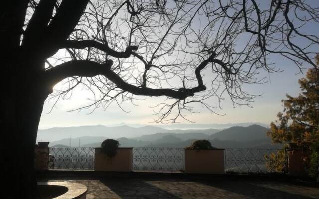 Tenuta Vecchio Castagno