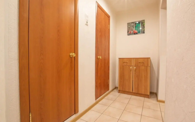 Apartment on Vesny 17