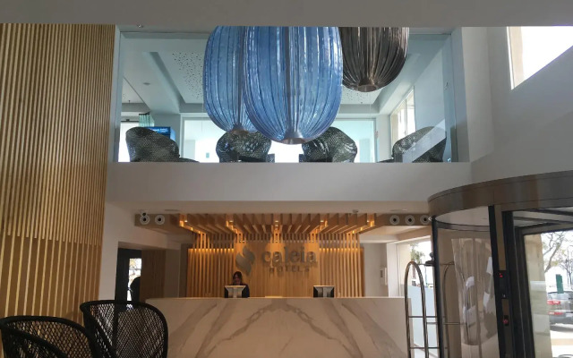 Talayot Affiliated By Senator