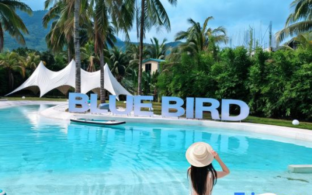 Blue Bird·Infinity Pool Designer Ocean Villa (Riyuewan Store)Wanning