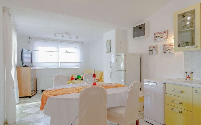 Cozy Apartment in Petrcane With Barbecue