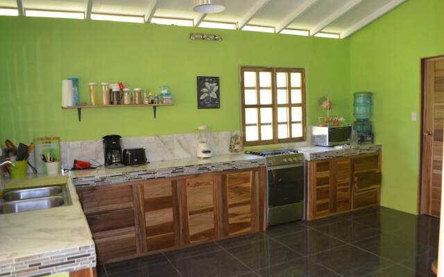La Rana de Cahuita
