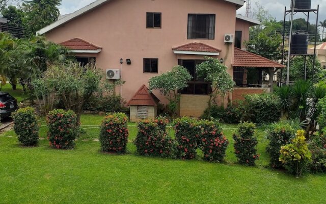 Three Palms