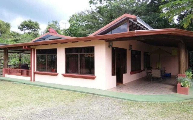 Blue Morpho - Hostel