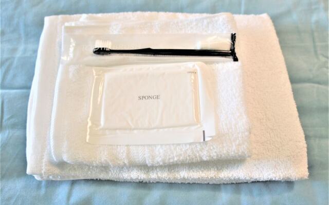 Spacious Apartment Sunshine City