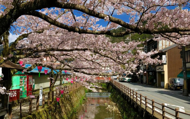 Tsutaya Ryokan