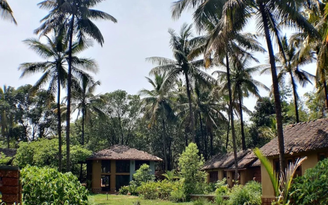The Orchard Resort
