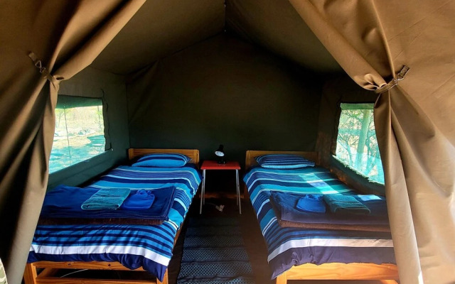 Thorn Tree Bush Camp