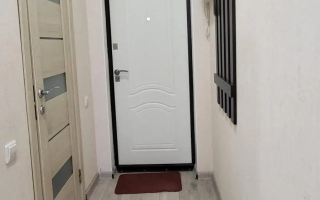 Апартаменты Факультет Гостеприимства на улице Селезнева 4\15