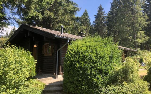 Wooden bungalow with oven, in Oberharz near a lake