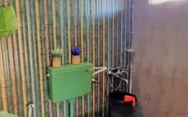 Noah's Nest Tree House