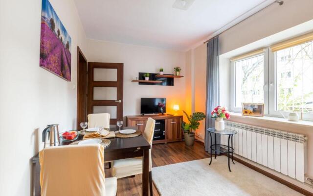 Sunflower Apartment City Center