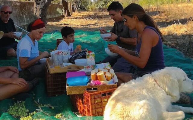 Quintinha da Foz Guest House