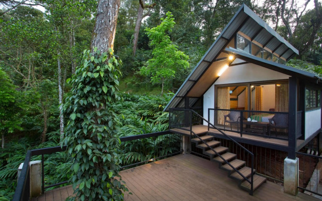 Bamboo Dale Resort