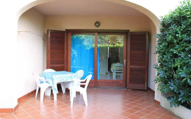 Vecchio Ulivo