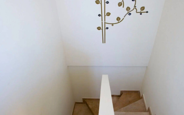 Rent Top Apartments Forum