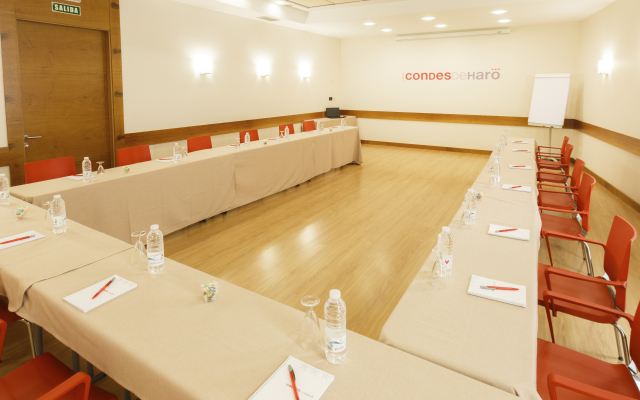 Hotel Condes de Haro