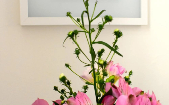 Old Town Konviktská - Bohemian Residence