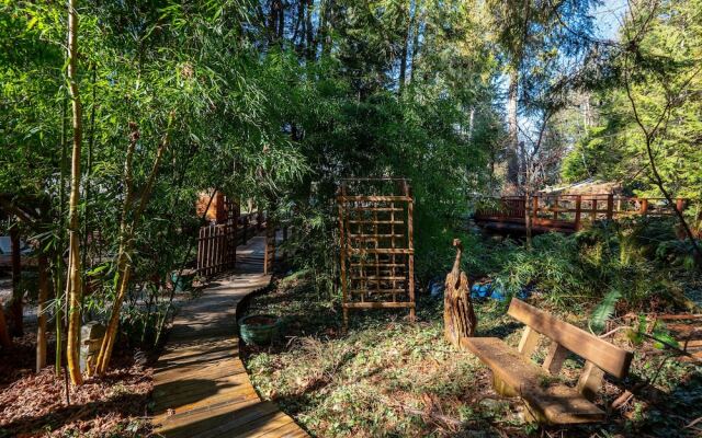 The Tree House Cottage