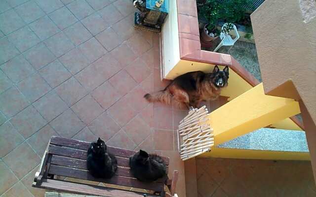 B&B Villa Sul Golfo