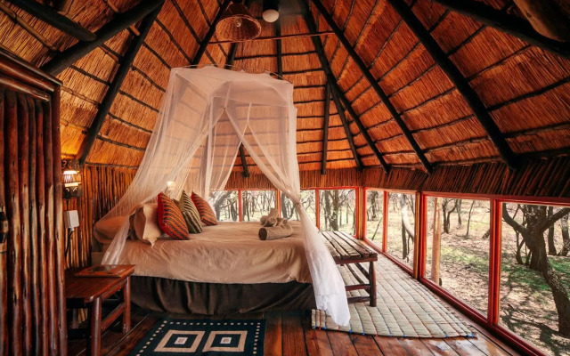 Pezulu Tree House Lodge