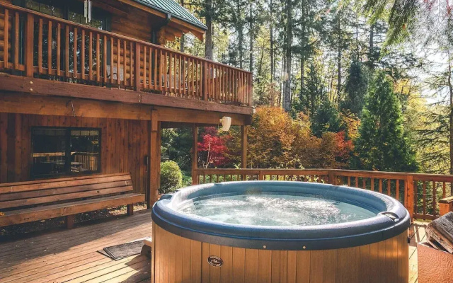 Forest View Lodge