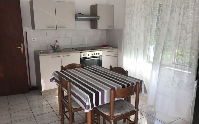 Apartment Miljenko - 80m from the sea: A1  Novalja, Island Pag