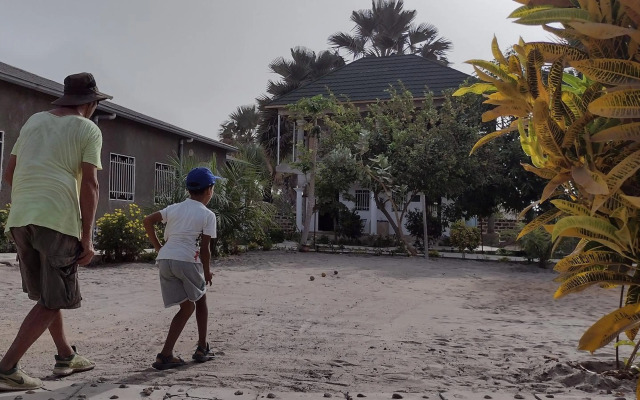 Real Owl Guest House