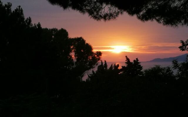 Il Sogno di Vincenzo e Maria