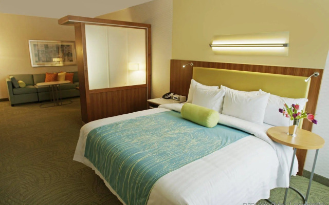 SpringHill Suites by Marriott Macon