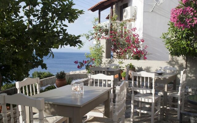 Hotel Cattleya
