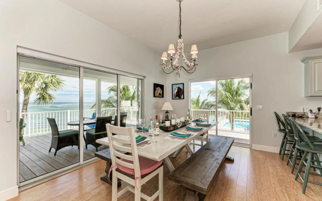 Dolphin Tales - 836 S Bay