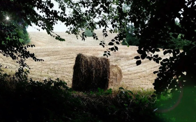 SassoErminia B&B Ecosostenibile